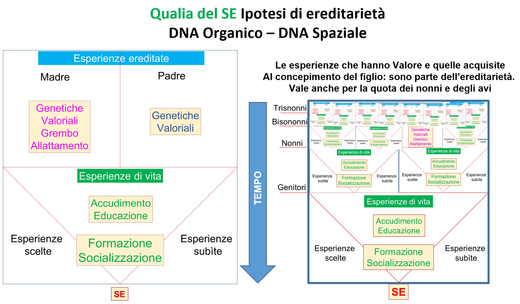 ereditarieta